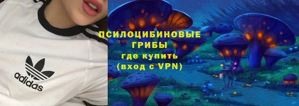 молекула духа Зеленодольск