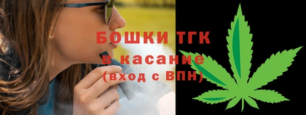 молекула духа Зеленодольск