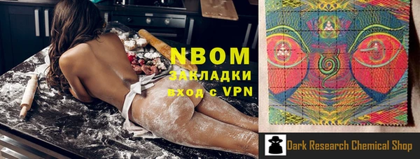 хмурый Инта